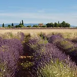 Oasis Tranquille - L'evasion Au Verdon Gréoux-les-Bains