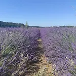 Oasis Tranquille - L'evasion Au Verdon Apartment *
