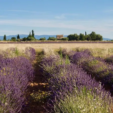 Oasis Tranquille - L'évasion Au Verdon Gréoux-les-Bains