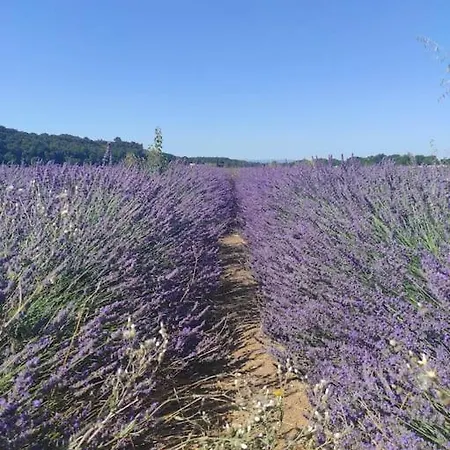 Oasis Tranquille - L'évasion Au Verdon Appartement *